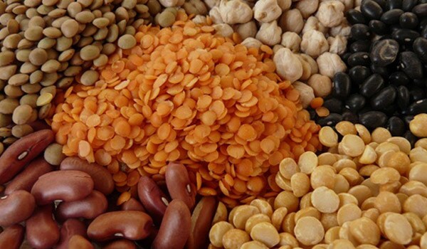 Cereals/grains, dals and other pulses: Protein, a major nutrient in this group, is necessary for growth of new cells and replacement of old ones.