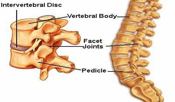 A traumatic spinal cord injury or fractures that injure the spinal cord cause also result in problems getting good erections.