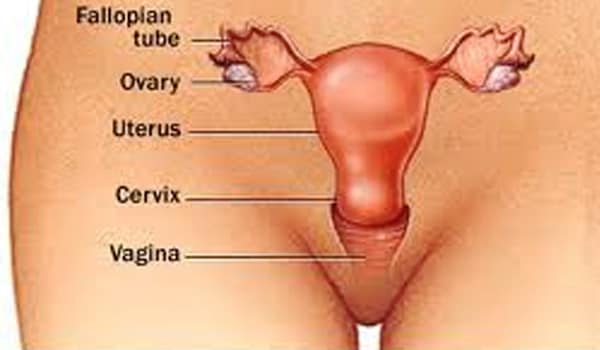 Vaginal dryness that occurs due to decrease in estrogen can be linked to hormone imbalances and other illnesses and to certain medications which inhibit arousal or make intercourse uncomfortable.