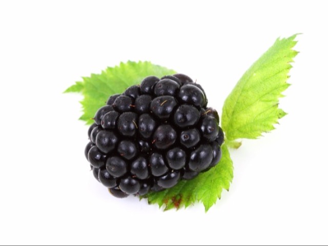 Health Benefits Of Blackberries