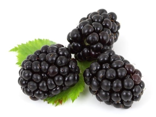 Blackberries are packed with antioxidants, especially anthocyanins, which help neutralise harmful free radicals in the body. This reduces oxidative stress and lowers the risk of chronic diseases such as cancer and heart disease.