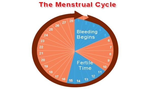 Fertility: Facts Vs Myths