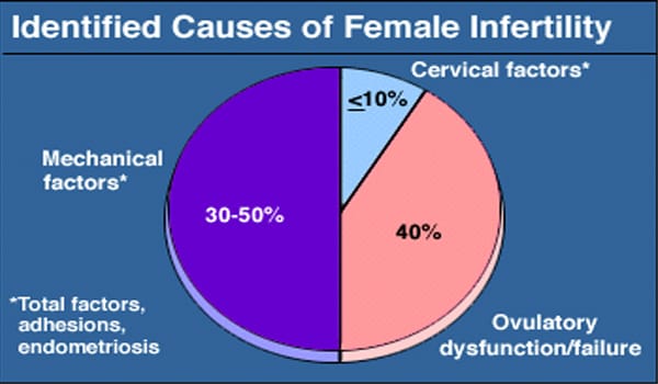 Wish it was true! But infertility is a medical condition, which requires treatment. Although infertility can result in stress, stress cannot cause infertility.