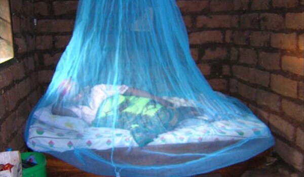 Use bednets when sleeping in areas infested with mosquitoes.