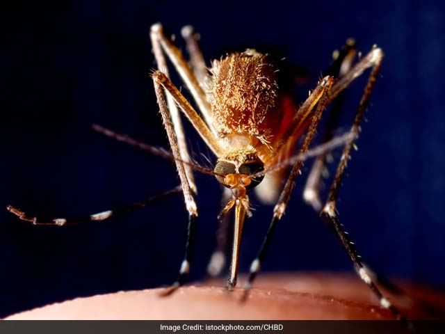 Malaria - a parasitic disease