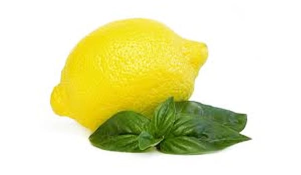 Try to eat clean and fresh foods or foods that smells lemony, which may make you feel better during morning sickness.