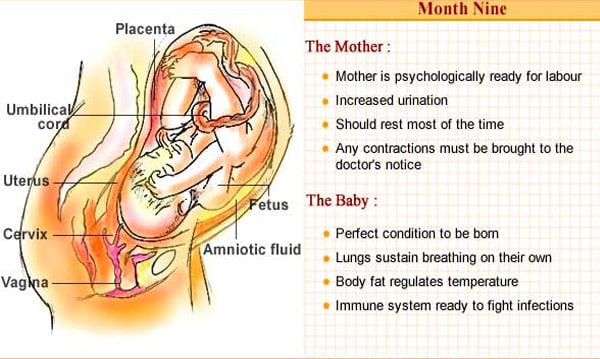 The baby is in a perfect condition to be born. The lungs are able to sustain breathing on their own. The mother is also psychologically ready to go into labour. The baby is in a perfect condition to be born. The lungs are able to sustain breathing on their own. The mother is also psychologically ready to go into labour.