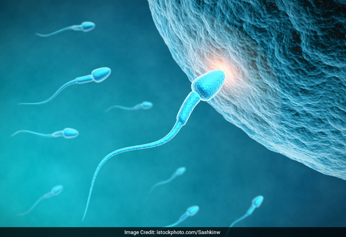 शुक्राणुओं की संख्या कैसे बढ़ाये? Doctor ने बताया क्या खाने से बढ़ सकता है sperm count