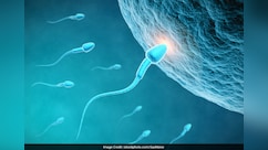 शुक्राणुओं की संख्या कैसे बढ़ाये? Doctor ने बताया क्या खाने से बढ़ सकता है sperm count
