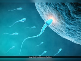 शुक्राणुओं की संख्या कैसे बढ़ाये? Doctor ने बताया क्या खाने से बढ़ सकता है sperm count
