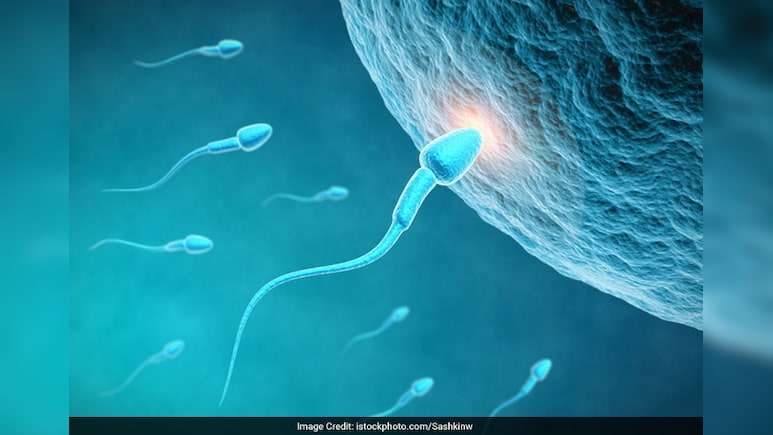 शुक्राणुओं की संख्या कैसे बढ़ाये? Doctor ने बताया क्या खाने से बढ़ सकता है sperm count