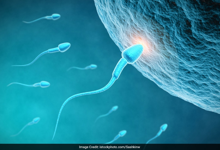 Low sperm count, the leading cause of male infertility, can be temporary or permanent. Low sperm count could be caused due to any of the following factors:-<ul><li>Old Age
<li>Worry
<li>Diseases
<li>Exertion
<li>Poor diet
<li>Grief and turbulences</li></ul>