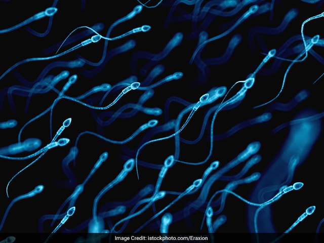 Photo : How to improve low sperm count?