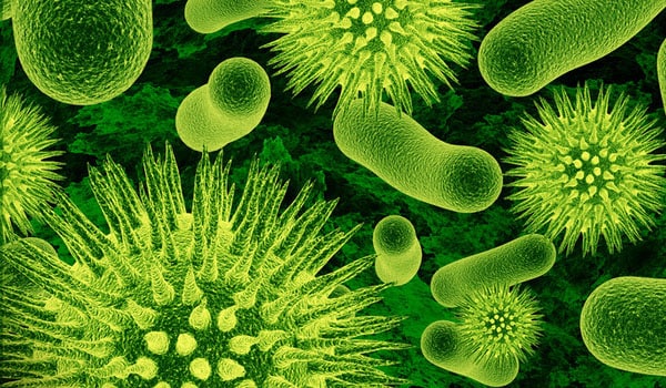 New Delhi metallo-ß-lactamase 1 (NDM-1) makes bacteria known as Enterobacter - highly resistant to almost all antibiotics, including the most powerful class called carbapenems - a class of the drugs often reserved for emergency use and to treat infections caused by other multi-resistant bugs.