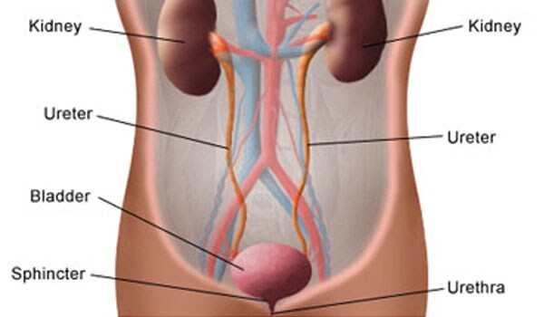 New Delhi metallo-�-lactamase 1 or NDM-1 is an enzyme found in a group of bacteria (Enterobacteriaceae) that are commonly found in the gut, and commonly cause urinary tract infectons.