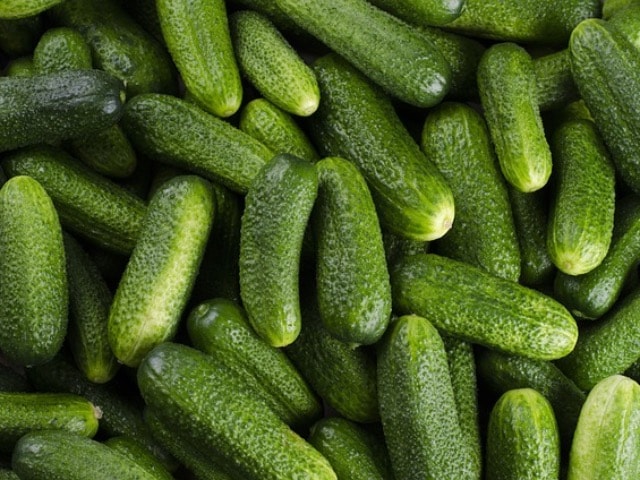 Photo : Surprising Health Benefits Of Cucumbers