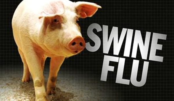 Swine influenza, or ‘swine flu, is a highly contagious acute respiratory disease of pigs, caused by one of several swine influenza A viruses that cause regular outbreaks in pigs.