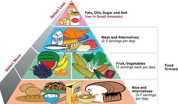 Eating a well-balanced diet while your are trying to conceive and through pregnancy is central to the health of a developing baby, as well as the the health of the mother-to-be.