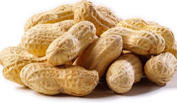 Peanut is a good source of Coenzyme Q10, which protects the heart during the period of lack of oxygen during winters.