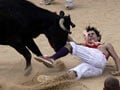 Photo : Thrills and spills at Spanish bull-run