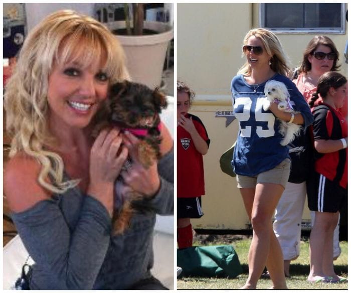 <b>Britney Spears</b> - The pop star owns Hannah, a Yorkshire Terrier who has even fallen sick following her fallout with Jason Trawick that's believed was more than a coincidence! The "Womanizer" star therefore has a very special place in her heart for her pups and considers them extremely loyal (unlike the men in her life). Hannah also happens to have her own Twitter page and is very popular on the micro-blogging platform.<br><br>

<b>Image via Britney Spears Twitter</b>