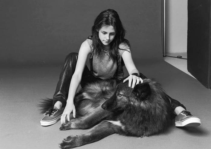 <b>Kristen Stewart</b> - The "Twilight"' star's mother incidentally has several wolf-dog pets. Kristen has one to herself, a large, dark brown wolf-dog called Jack who is more than a best friend.