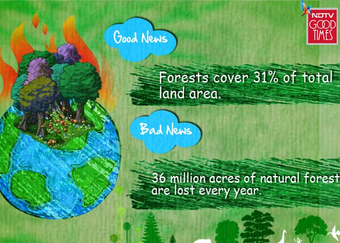 Facts about our environment