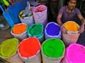 Photo : India Celebrates Holi