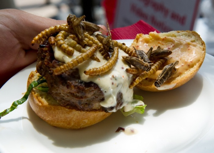 Photo : Around the World: Pestaurant Event Offered Insects, Grasshopper Burgers & More