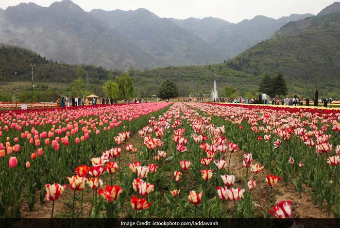 इस मौसम में रहना चाहते हैं तरोताजा, तो इन 5 जगहों पर घूमने जरूर जाएं