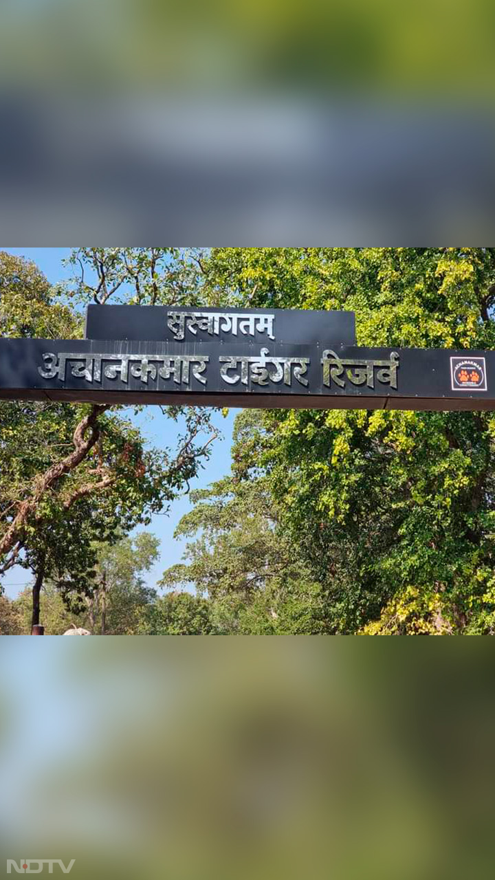 Achanakmar Sanctuary : यहां स्तनधारी जीव और 200 से ज्यादा प्रजातियों के पक्षी, केंवची से प्रवेश की सुविधा मिली तो बढ़ेंगे पर्यटक, देखें तस्वीरें