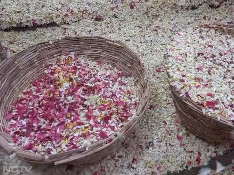 Holi in Mahakal: महाकाल मंदिर में  भक्तों ने 51 क्विंटल फूलों से खेली गई होली, देखें बाबा के दरबार की मनमोहक तस्वीरें