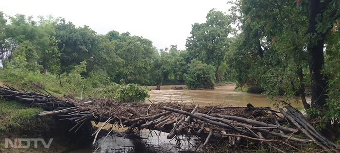 ग्रामीण युवक राजेश नरेटी ने बताया कि राज्य को बने हुए 20 साल से अधिक हो चुके हैं. हर साल ग्रामीण इसी तरह लकड़ी के पुल के सहारे जान जोखिम में डालकर आना-जाना करते हैं.