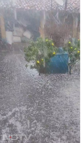 Hailstorm: MP-छत्तीसगढ़ में ओलावृष्टि... खेत में लगे फसलों को हुआ भारी नुकसान- देखें तस्वीरें
