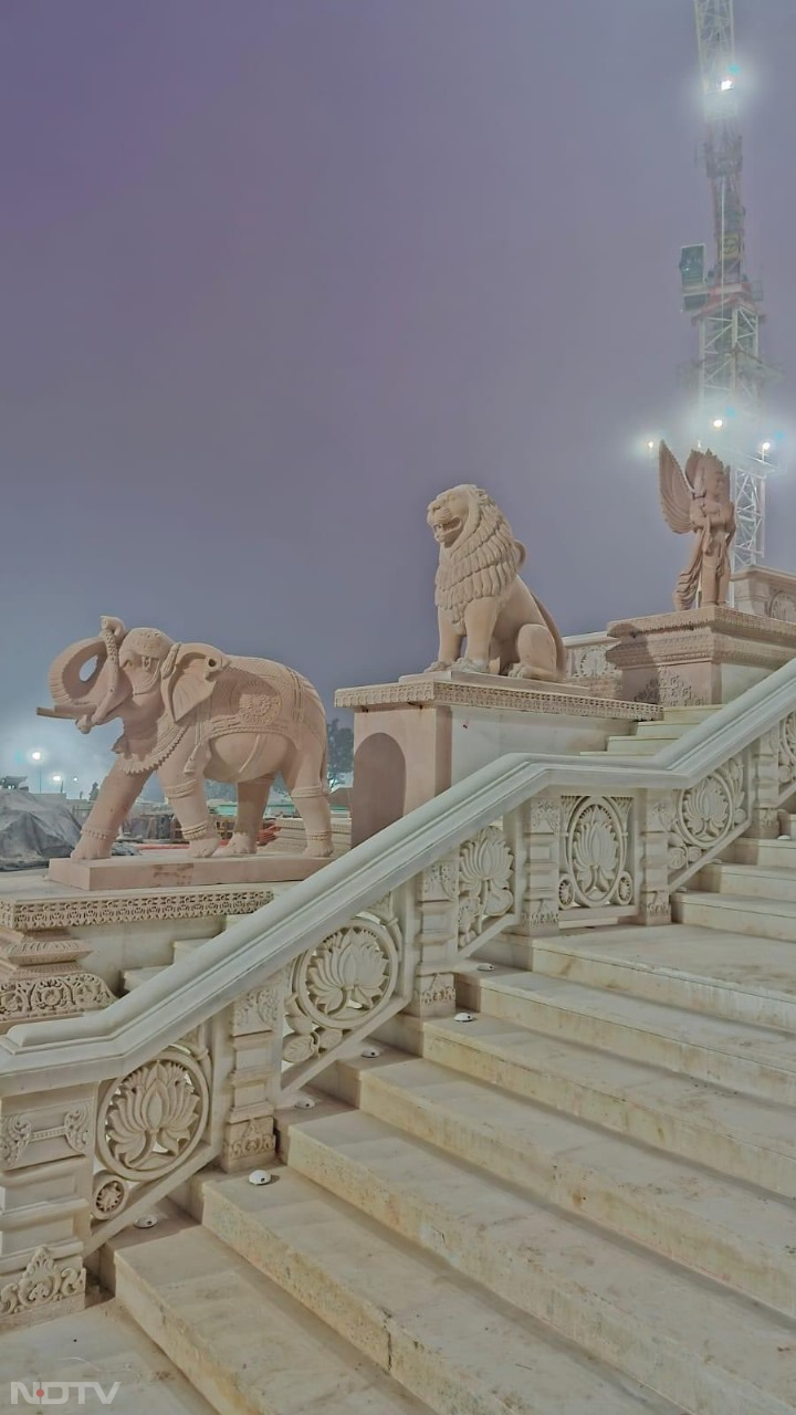 हनुमान जी से लेकर गरूड़ पक्षी तक... राम मंदिर के द्वार पर लगीं ये खूबसूरत मूर्तियां, आपने देखीं क्‍या