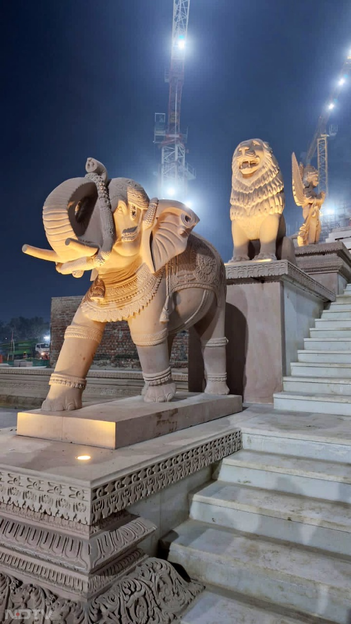 हनुमान जी से लेकर गरूड़ पक्षी तक... राम मंदिर के द्वार पर लगीं ये खूबसूरत मूर्तियां, आपने देखीं क्‍या
