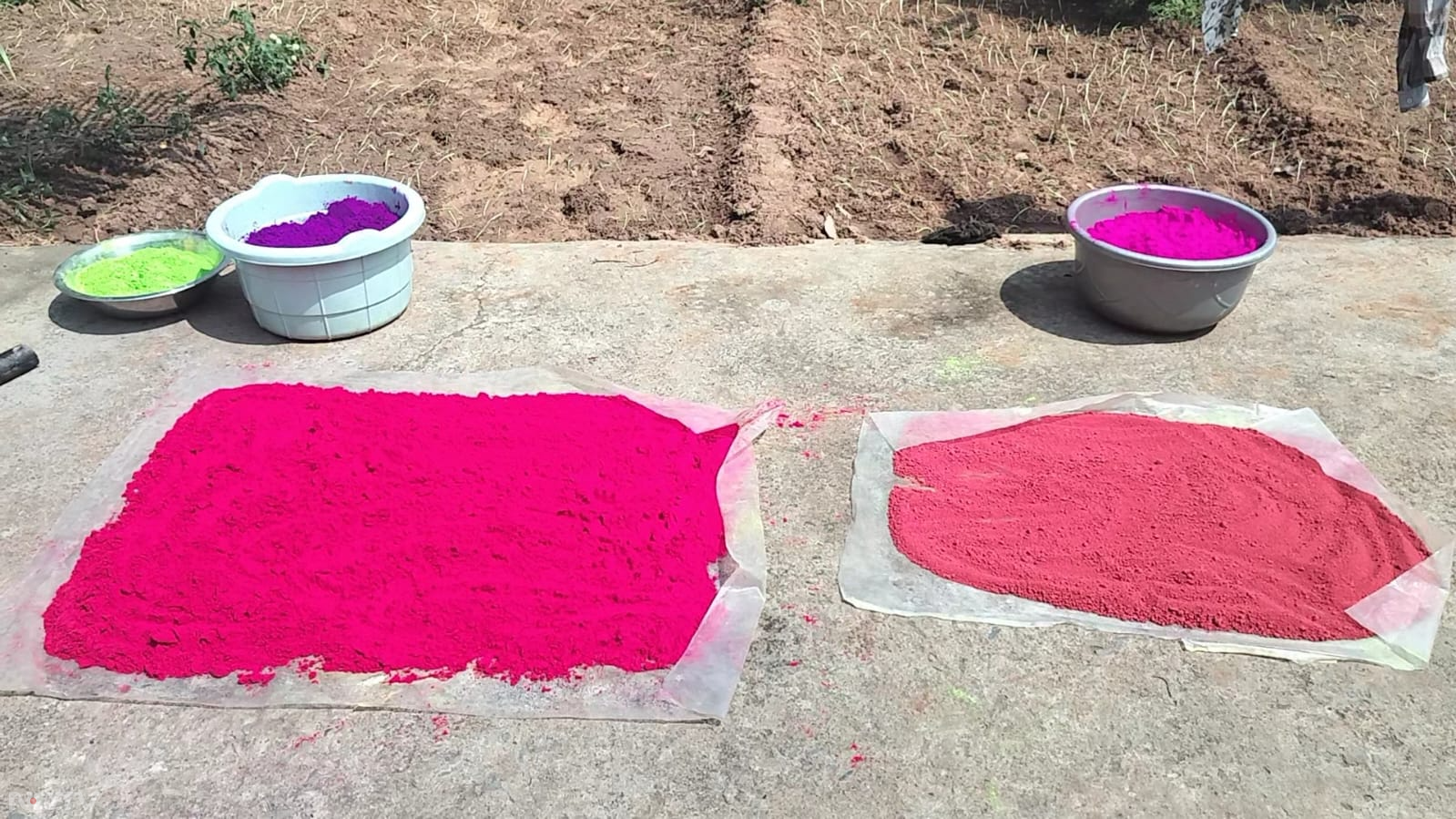 Holi Special: बलरामपुर में Eco Friendly रंग-गुलाल बना रही महिलाएं, नहीं होगी त्वचा खराब