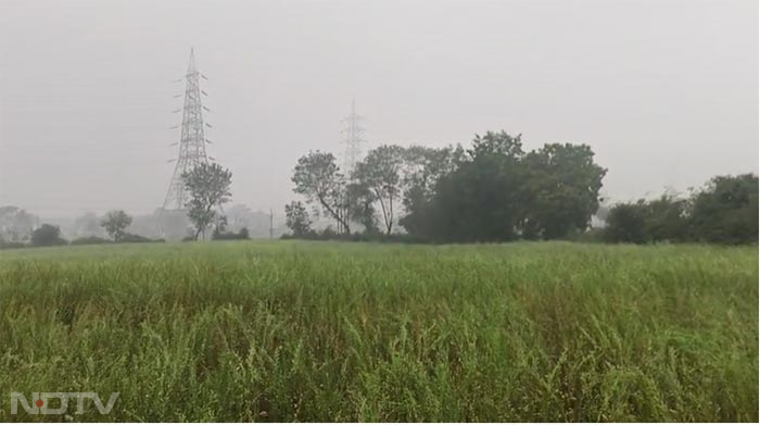 Madhya Pradesh : बारिश और ओले से मची तबाही, फसलों को हुआ नुकसान, देखें ओलावृष्टि की तस्वीरें