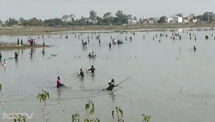 In Pics-तालाब खाली हुआ तो लट्ठ लेकर पहुंच गए लोग, मछलियों के शिकार के लिए मची होड़