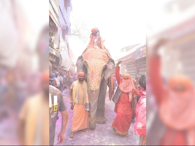 MP के सीहोर मनाई गई महादेव की होली, पूरे देश से खेलने आए लोग