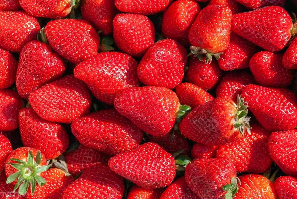 स्ट्रॉबेरी में भी काफी विटामिन C पाया जाता है जो त्वचा को चमकदार बनाकर कोलाजेन उत्पादन को सपोर्ट करता है.