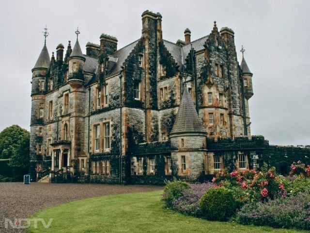 6. Tour Blarney Castle and Kiss the Blarney Stone: Blarney Castle draws visitors for the famous Blarney Stone, believed to grant eloquence. Beyond the stone, the castle's gardens, towers and atmospheric ruins give you a glimpse into Ireland's layered history.