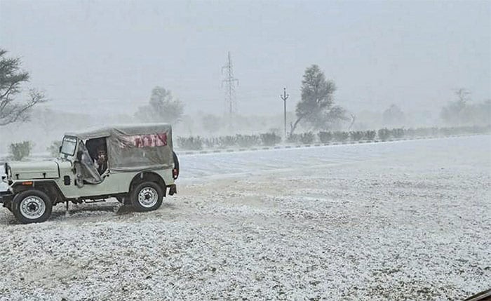 A jeep moves on a hail covered field after rain, in Sikar, Monday.