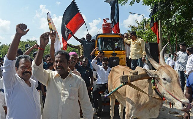 Members of Dravida Munnetra Kazhagam (DMK) take part in a protest against the price hike of fuel and liquefied petroleum gas in Chennai.