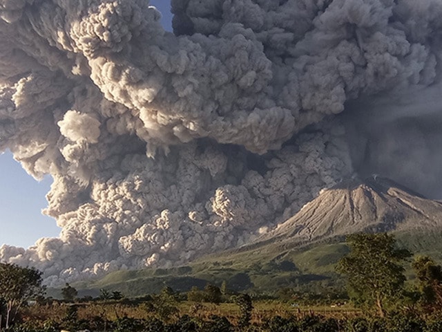 Best Photographs Of The Day