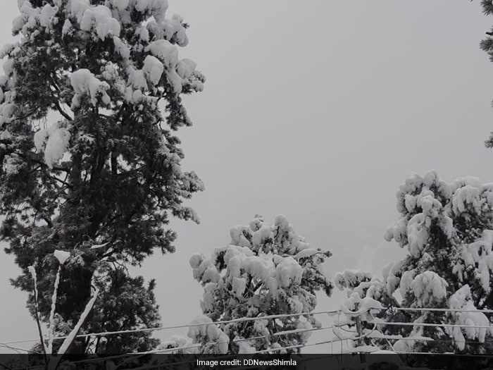In Pics: Kinnaur Is White Heaven After Fresh Snowfall