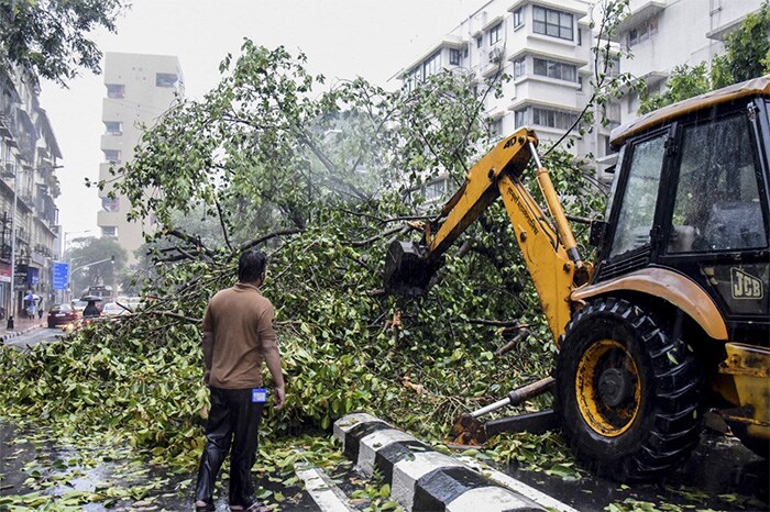 Workers of the Brihanmumbai Municipal Corporation (BMC) remove a fallen tree from a street following heavy rains from Cyclone Tauktae, in Mumbai