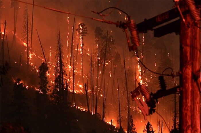 Pine trees burn on a hillside at the Dixie Fire, in Twain, California.