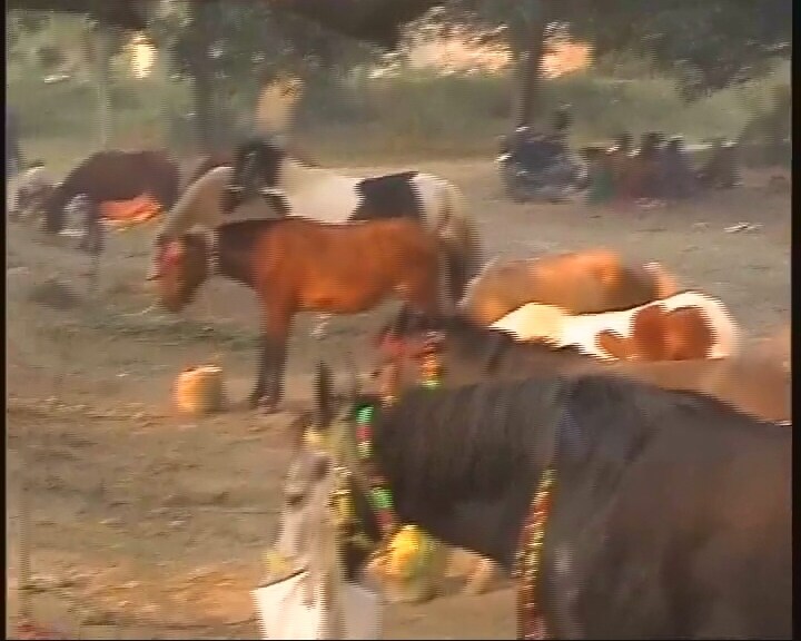 The fortnight-long, world-famous cattle-cum-animal fair, the Sonepur Mela, was inaugurated on Monday in Saran district of Bihar.