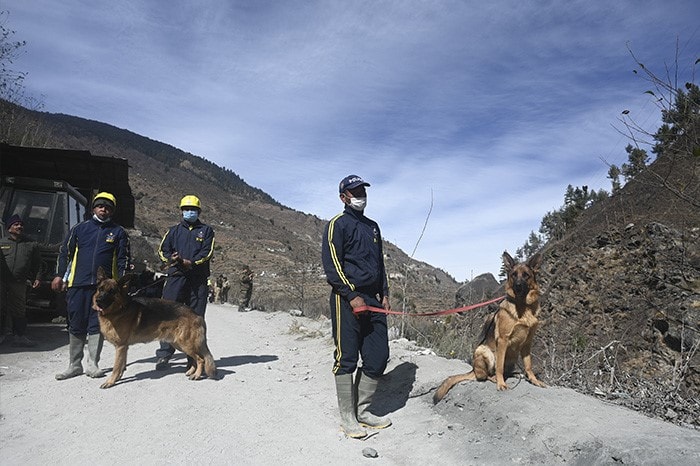 A canine unit of the State Disaster Response Force (SDRF) prepare near the entrance of a tunnel blocked with mud and debris during rescue operations in Tapovan of Chamoli district.